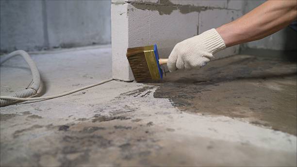 SJ Waterproofing Pros Crawl Space Encapsulation coverage map for Jones, MI and surrounding area